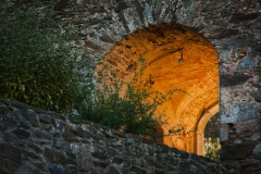 Canon-Canon-EOS-40D-1024x683-130023