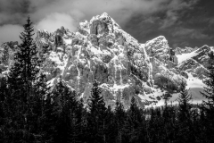 IMG_7078