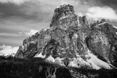 IMG_7226