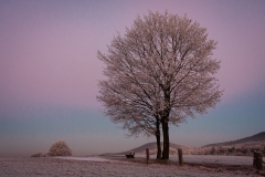 20071221-Halle-Westfalen-004