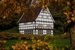 20081011-Halle-Westfalen-IMG_3916